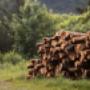 # 1