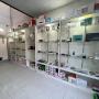 tienda 2
