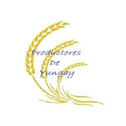 SOCIEDAD DE PRODUCTORES DE YUNGAY SPA - SPY