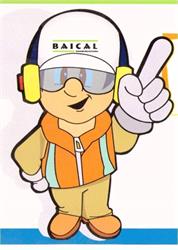 Constructora Baical