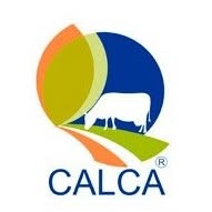 Calca