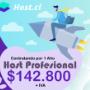 Host Profesional