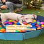 Talleres para perros.