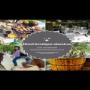 Hotel Boutique Almahue