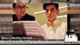 Marco Muñoz Hervia Profesor de Piano