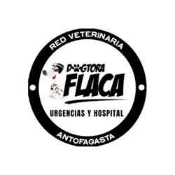 Nueva Dogtora Flaca