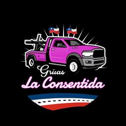 Grúas La Consentida
