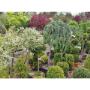 Agro Vivero Quintas y Jardines