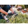 Agro Vivero Quintas y Jardines
