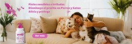 Douxo S3 Calm para pieles sensibles Perros y Gatos