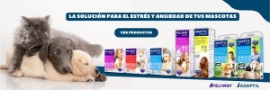 Adaptil y Feliway reducen estrés Perros y Gatos