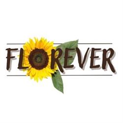 Floreria Florever