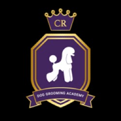 Cursos de Peluquería Canina  Escuela Claudia Rodriguez