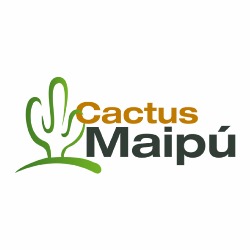 Cactus Maipu