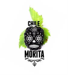 Chile Morita Cine