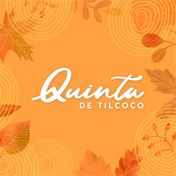 Ilustre Municipalidad de Quinta de Tilcoco