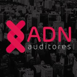 ADN Auditores