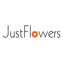 Just Flowers Las Condes