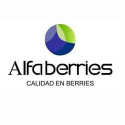 Exportadora Alfaberries