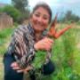 Implementación de huertos a particulares, colegios y jardines infantiles; venta de mermeladas caseras y productos de nuestra huerta Agroecología.