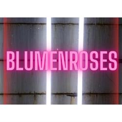Peluqueria BlumenRoses ex Borchardhair