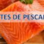 Chinguillos Productos del Mar
Filetes de pescados
Mariscos
Surtidos de Maricos