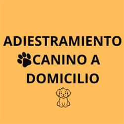 Adiestramiento Canino a Domicilio