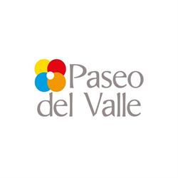 Mall Paseo del Valle