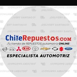 Chile Repuestos - Avenida 10 de Julio 479