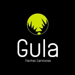 Gula - Venta de Plantas Carnívoras en Santiago