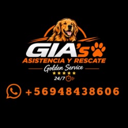 Grúas GIA’s Asistencia y Rescate