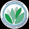 Vivero Multiplant